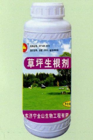 點(diǎn)擊查看詳細(xì)信息<br>標(biāo)題：草坪生根劑 閱讀次數(shù)：1687